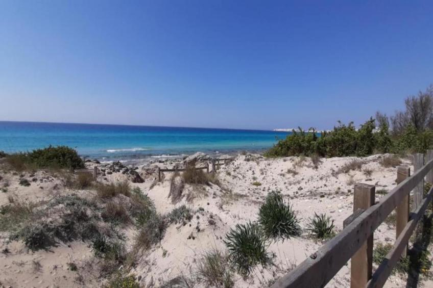 Terrazza Vista Mare - foto 40