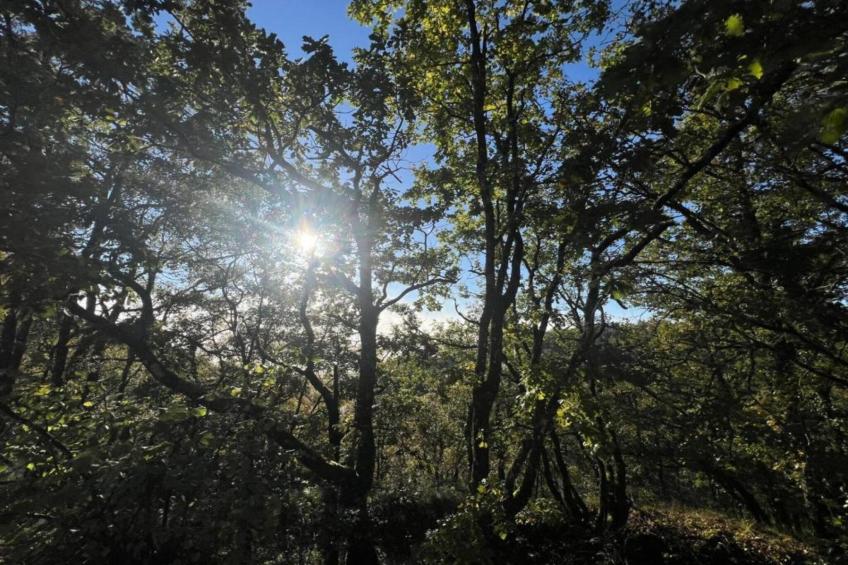 Maison de vacances - MONTAIGU-DE-QUERCY - foto 26