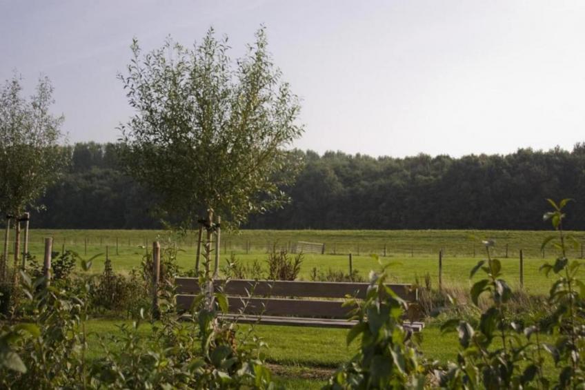 Water Resort Oosterschelde 83 - foto 38