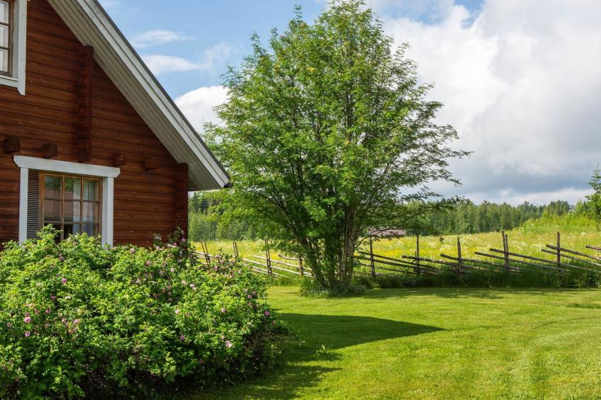 Ranta-lemettilä - foto 6