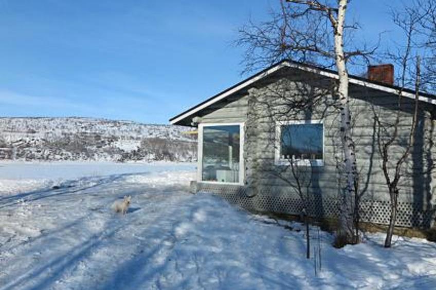 Karetörmä - foto 65