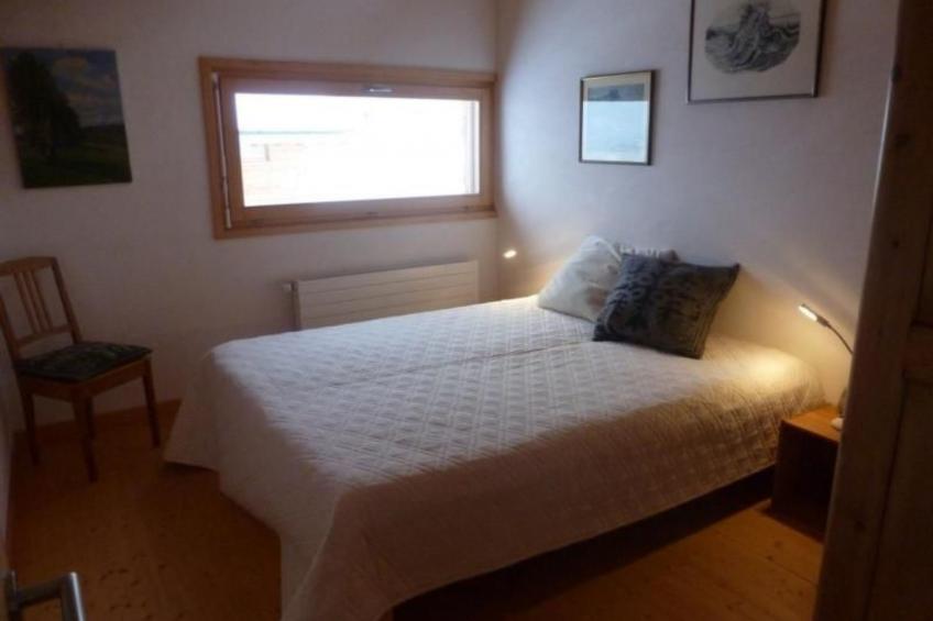 Blue Merle - foto 24