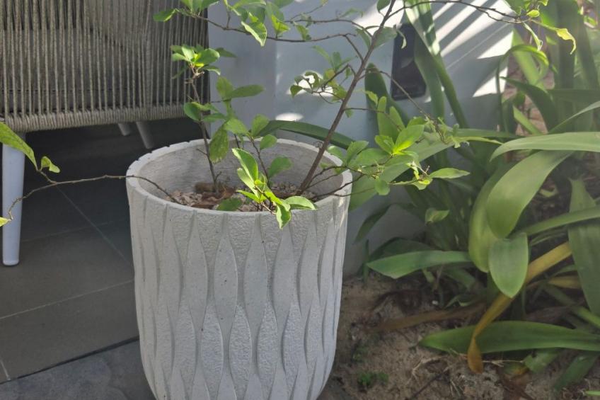 Wohnung "La Residence Apt23" - foto 28