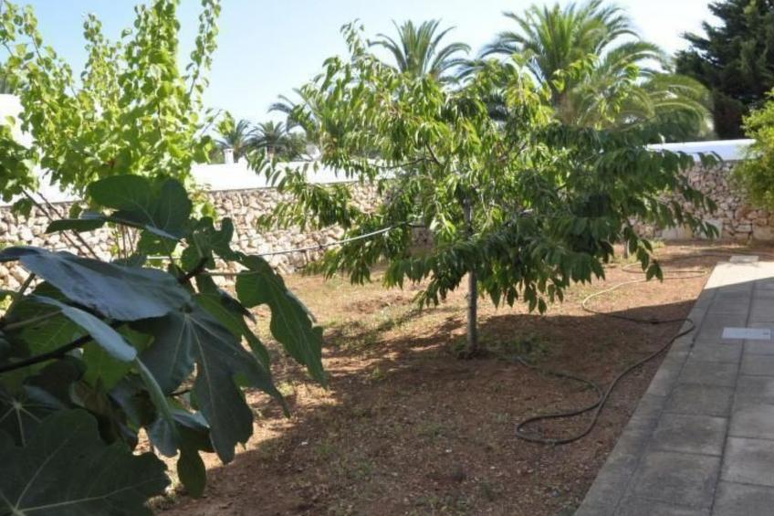 Ferienvilla "Francisca - foto 33