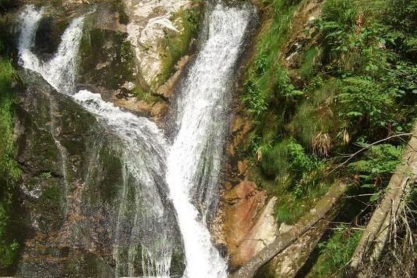 Mayer in Oberkirch - foto 40