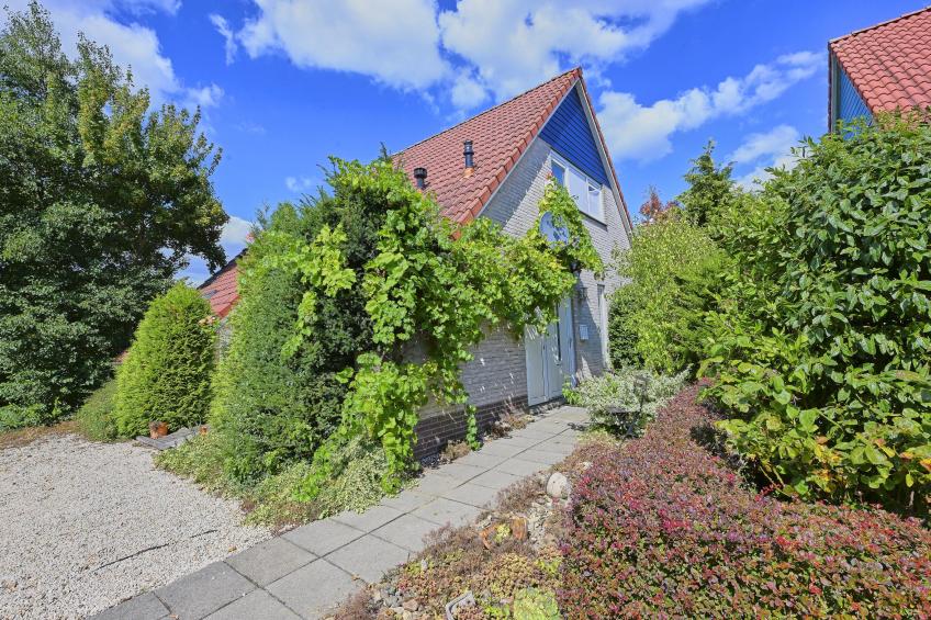 Aan de oever - foto 20