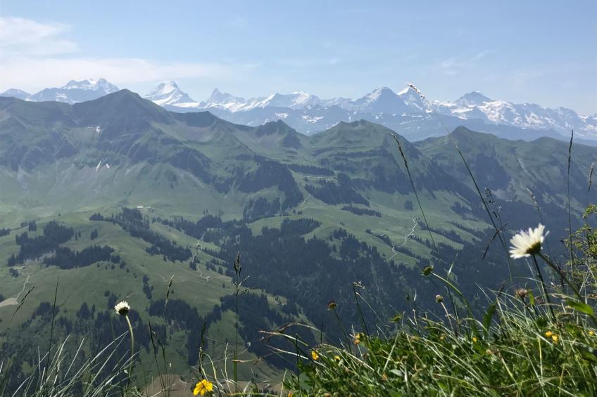 Rothornblick - foto 13