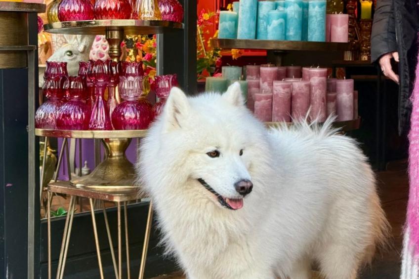 Rekerlanden 174 - foto 8