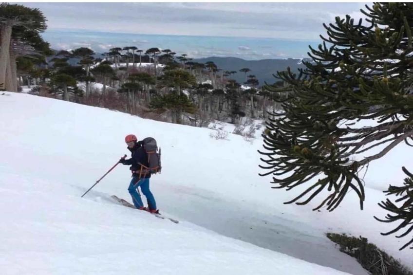 1360-Andres-312 - foto 8