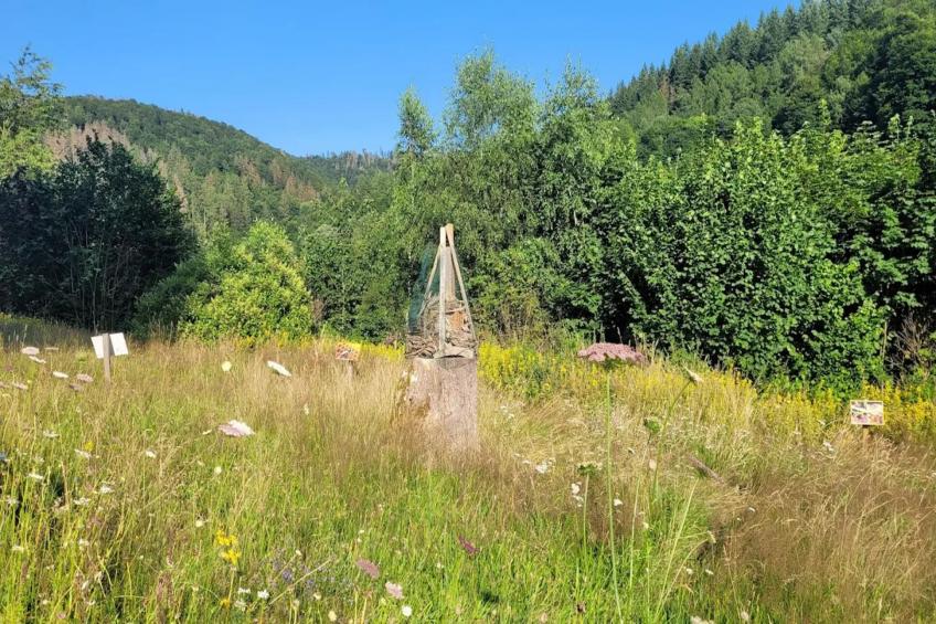 Vakantiehuis, Wieda - foto 18