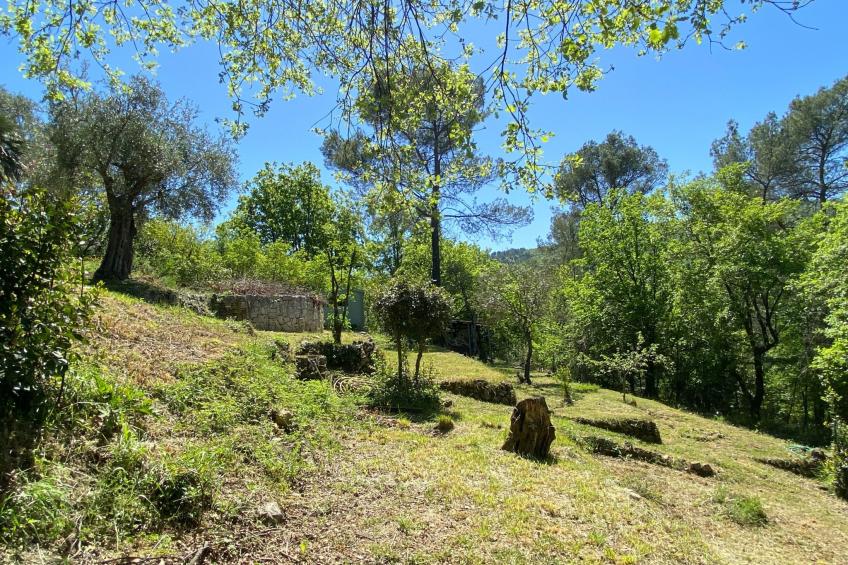 Villa La Paisana - Haustierfreundliches, privates Familienhaus mit Schwimmbad u - foto 25