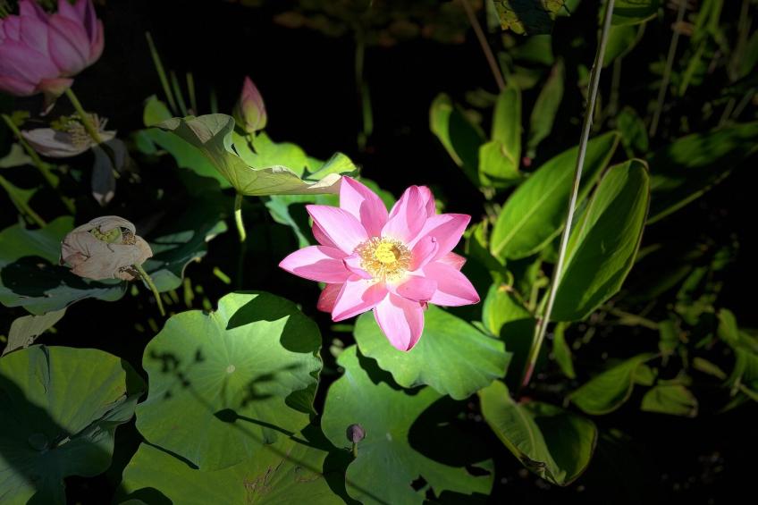 Sur la Cave - foto 38