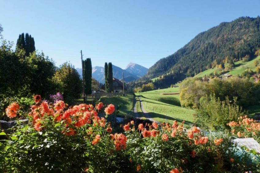 Chalet Ried - foto 32
