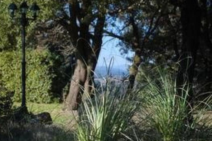 Agriturismo San Ansanino - foto 10