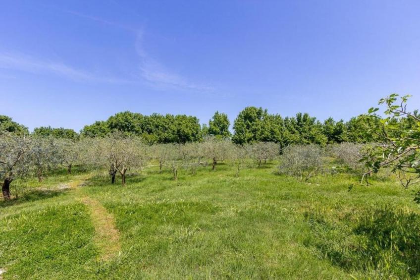 Marceta Double Room - Pool and Big Garden - foto 27