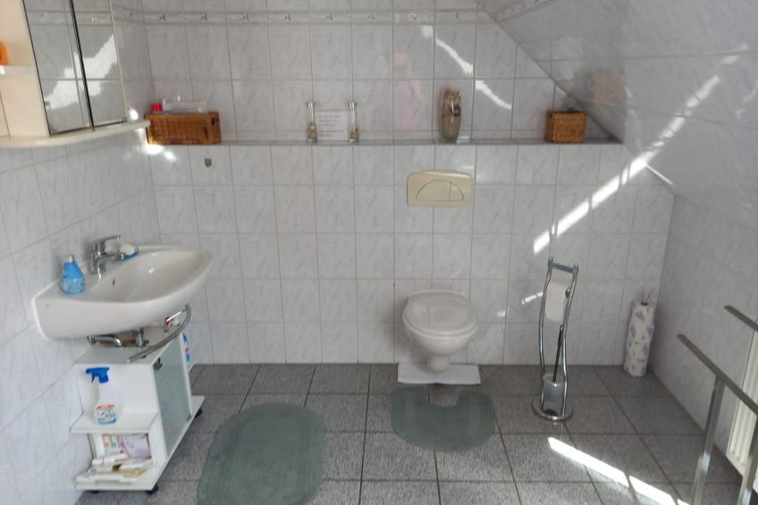 Haus Elbrose inmitten von Rosen mit Elbdeichzugang - foto 32