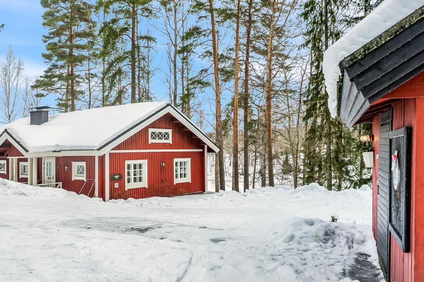 Satakieli, seeteri - foto 4