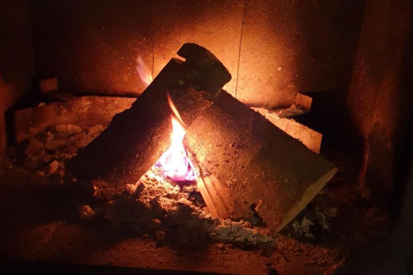 Pinto Béla - foto 15