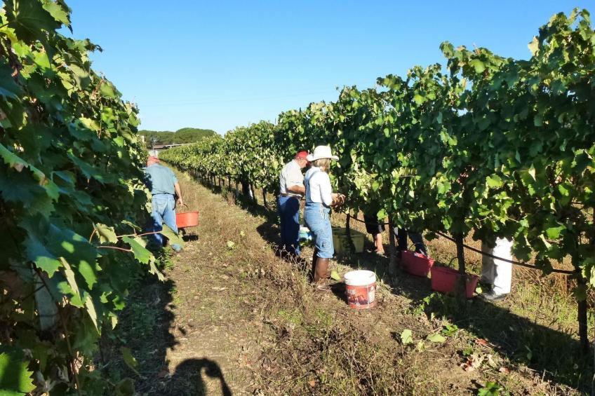 Mela' Wohnung mit Gemeinschaftspool - foto 21