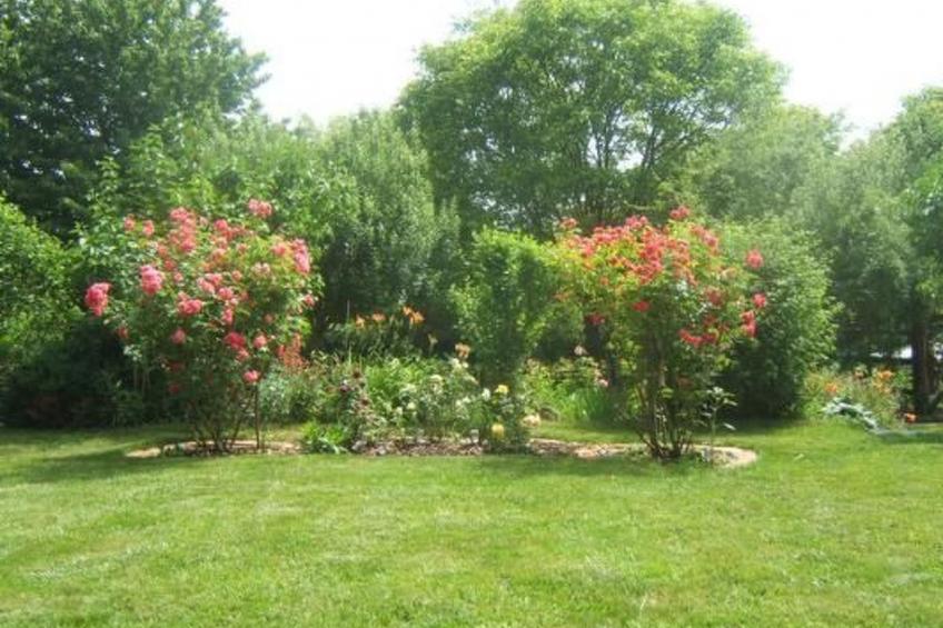 am Wiesengrund in Venningen - foto 14