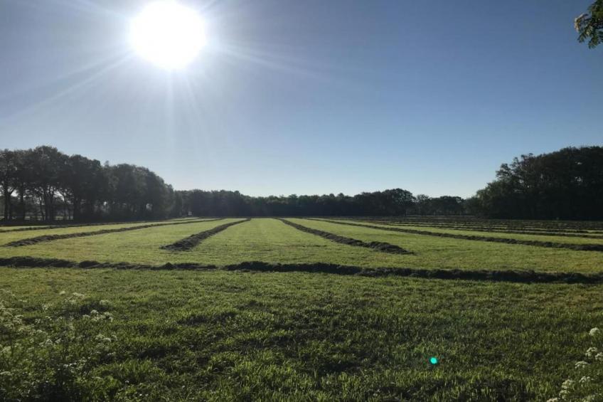 Suomi Bungalow - foto 34