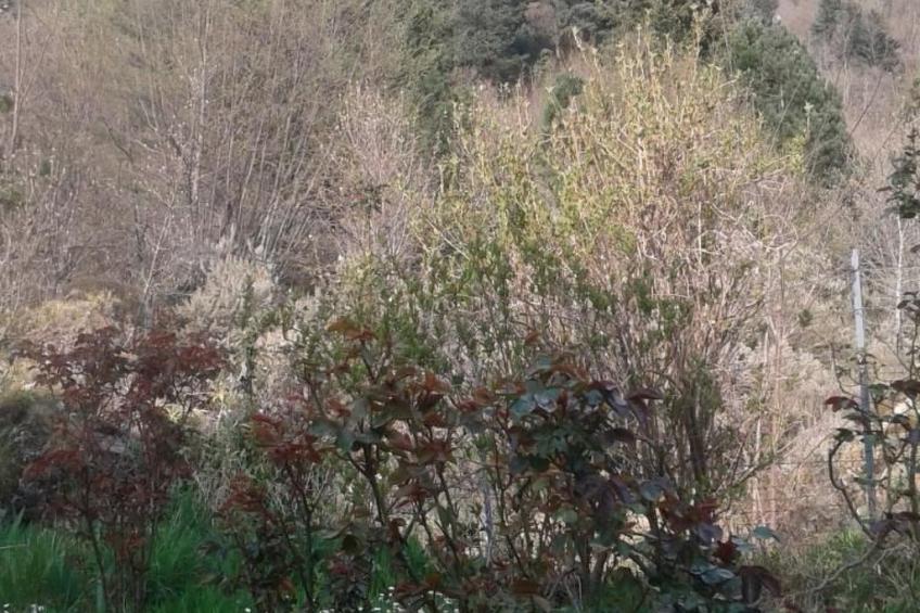 Natur und Entspannung, Villa im Park - foto 16