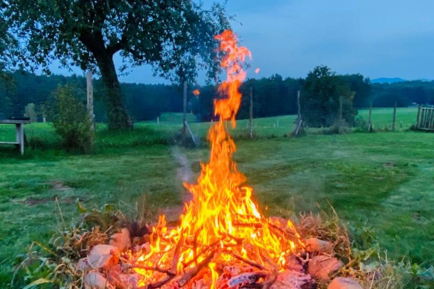 Kellerstöckl am veganen Bio-Lebenshof - Varm - the vegan Farm - foto 30