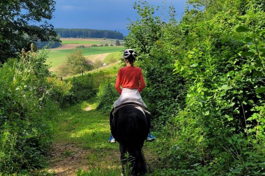 Chalet Staufenhof - foto 36