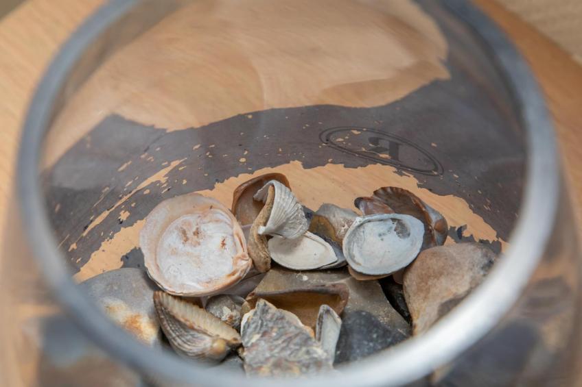 Vakantiehuisje Langstraat 29A Zoutelande 4 Personen  Comfortabel Verblijf - foto 36