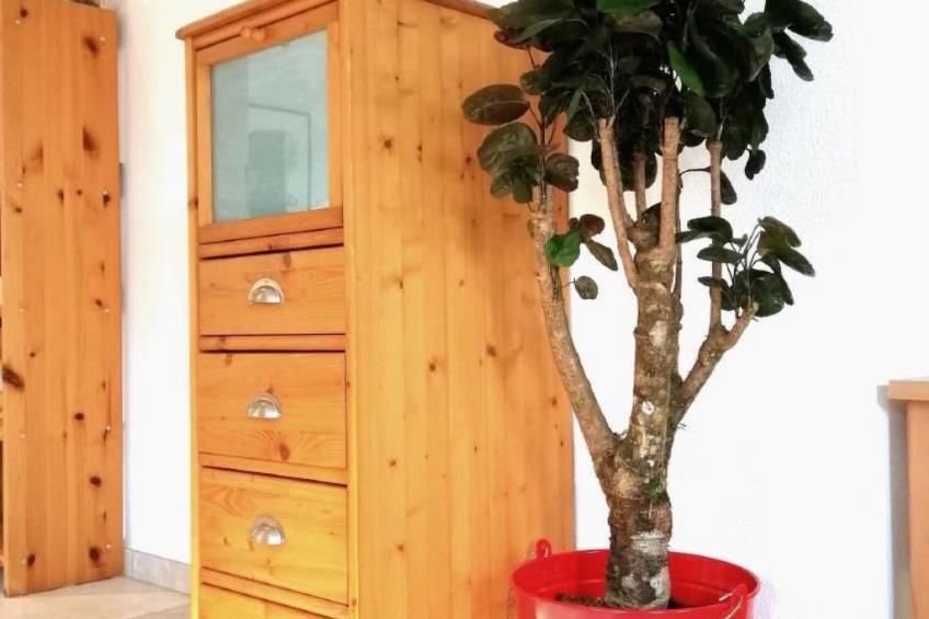 mit Bergblick - foto 14