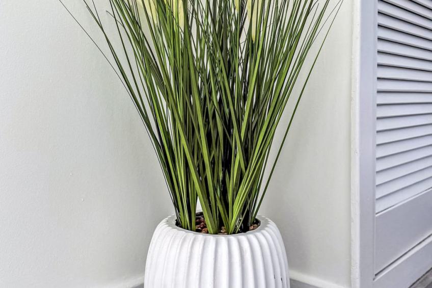 Gordonstoun Cottage - foto 26