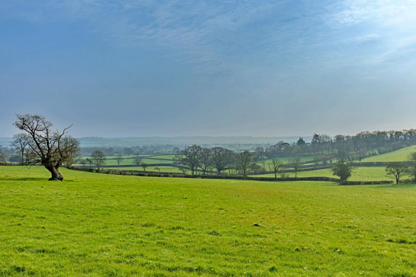 Fives Court Cottage - foto 3