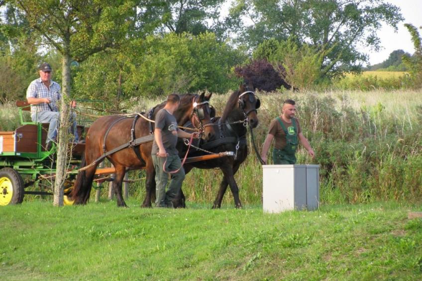 Ferienapartm.-ruegen - foto 26