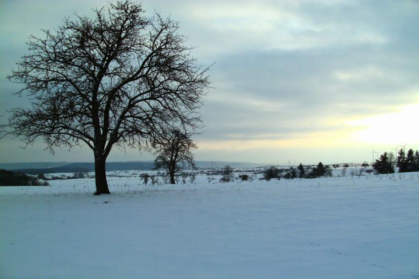 am Schäferhof - foto 36