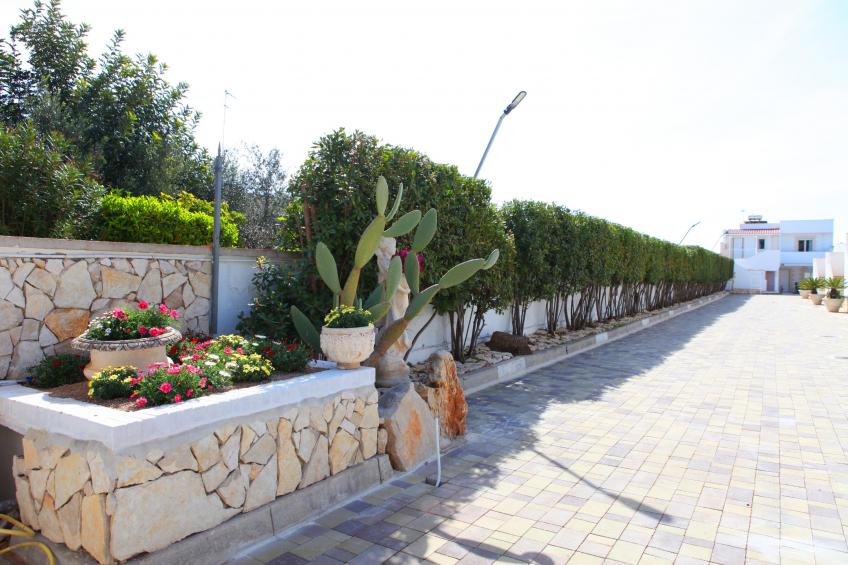 Marina Apartment In Pino Residence - foto 10