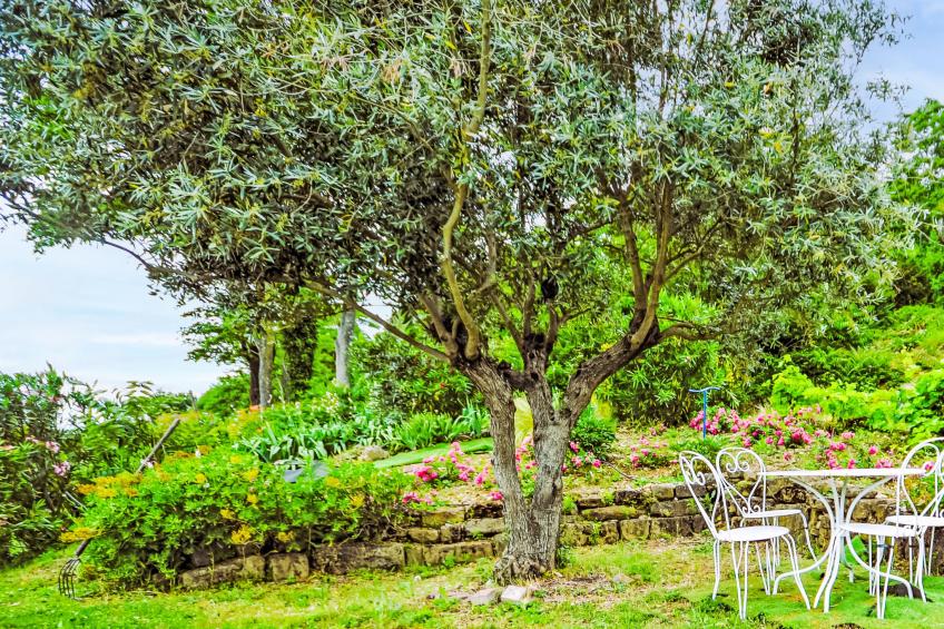 Douce campagne - foto 16