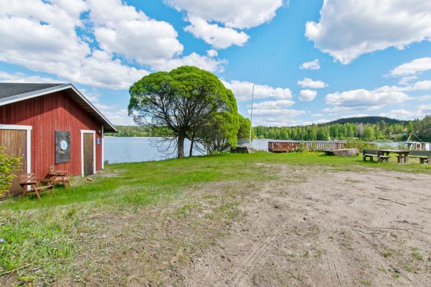 Heinäsorsa - foto 27