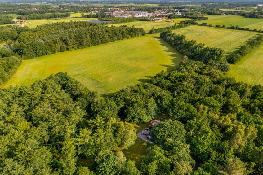 "Fina" - 15km from the sea in Western Jutland - foto 6