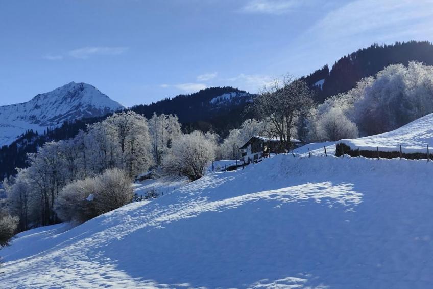 Traumblick Krattigen - foto 22