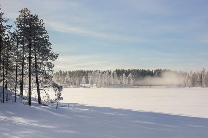 Hamppulahti - foto 13