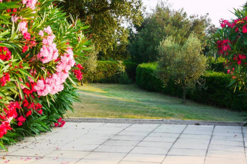 Villa De Campagne - 8 Pers - Vue Sur Les Mimosas - foto 33