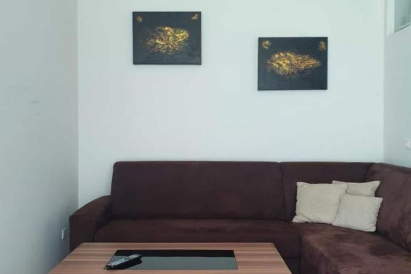 Apartment HAL  - one bedroom apartment