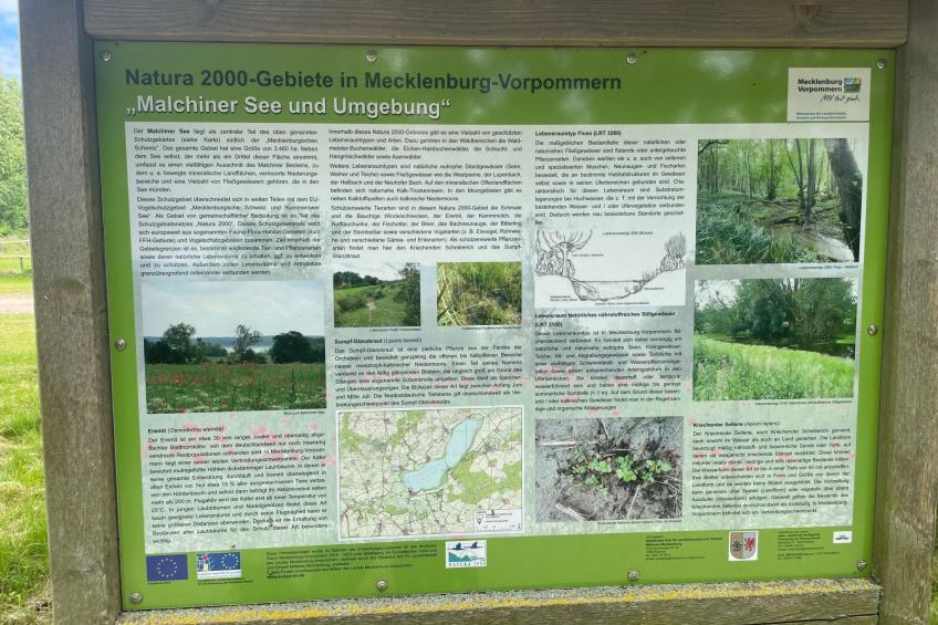 mit Sauna und Kaminofen - foto 32