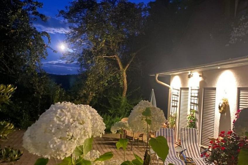 Geräumige Wohnung in Bad Elster mit Terrasse, Garten und Grill - foto 7