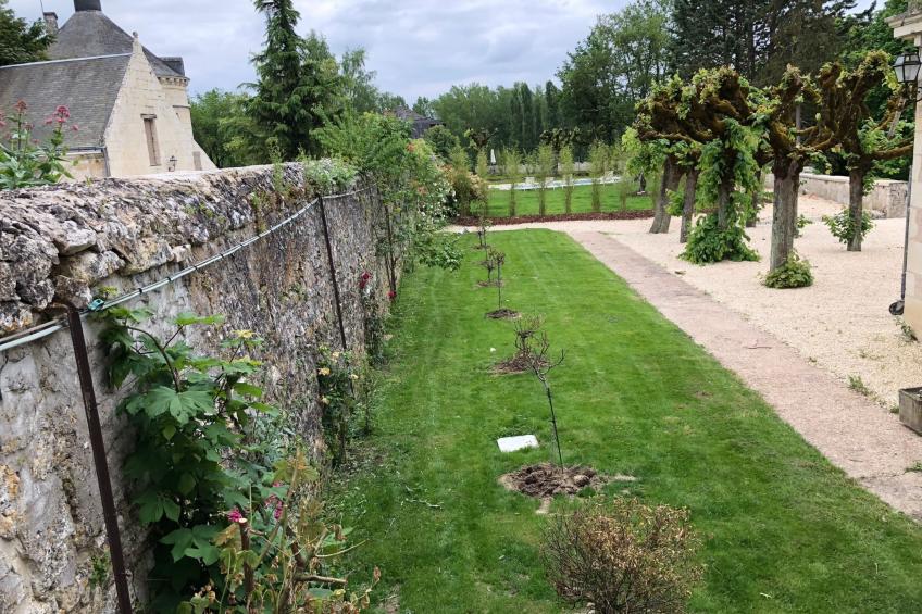 Cottage Garten 70m2 mit Pool in Azay le rideau - foto 28