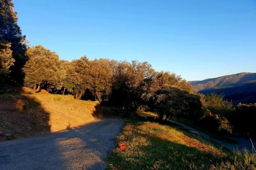 La Chataigne - foto 31