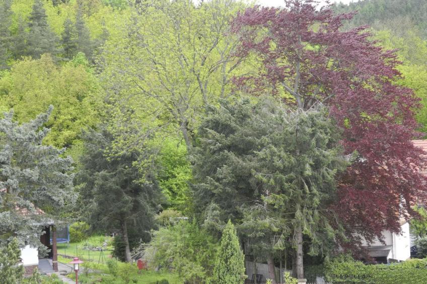 Kleine, gemütliche Ferienwohnung im Erholungsort - foto 6