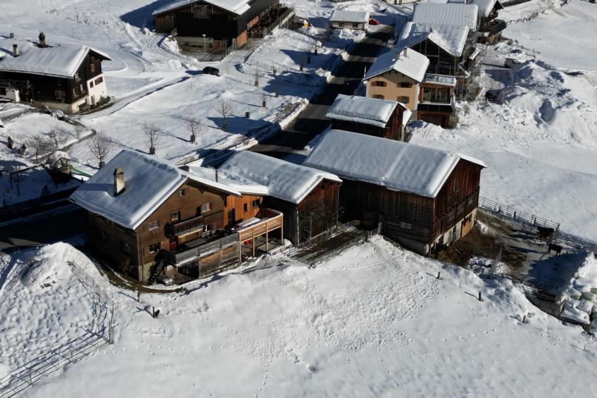 Hof Beeli, (Tschappina), - foto 6