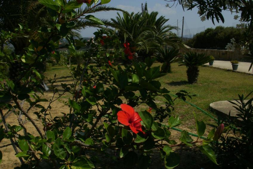 Charly Point Villa - foto 38