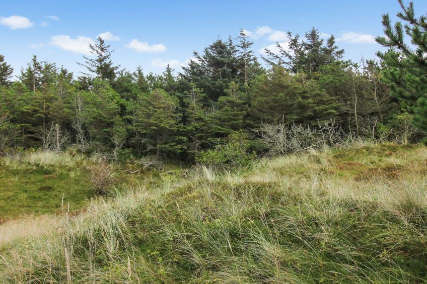 "Griselda" - 700m from the sea in NW Jutland - foto 18